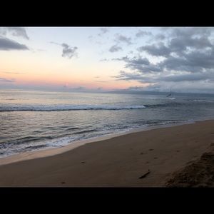 Meet your Posher, Lin